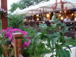 This is Gardenya Restaurant