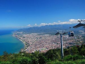 Ordu