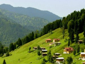 The Rize Plains