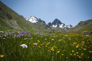 The National Park of the Caucasus Mountains