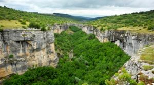 The Hedgehog Canyon
