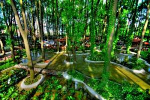 Orman Park