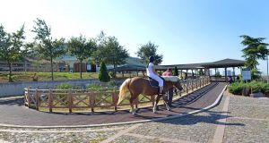 Equestrian sports facilities