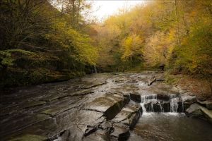 The waterfalls of the brave nature walk
