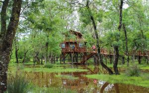 Kızılırmak Deltası Kuş Cenneti