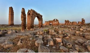 The University of Harran