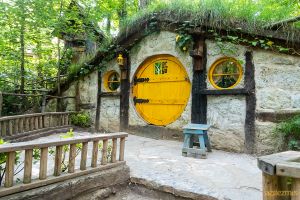 Bir Günlük Sapanca Turu