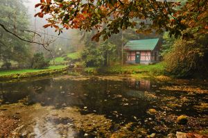 The Vrelo Bosnian National Park