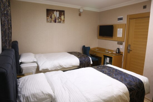 Hotel Büyük