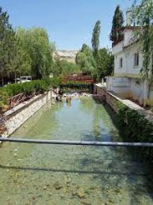 The Kangal Fish Spa