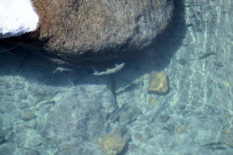 Şuğul Vadisi 8. Fotoğraf