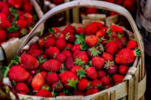 The Strawberry Festival