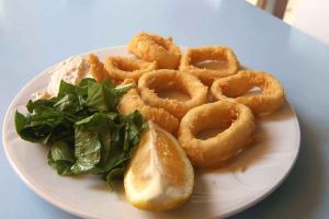 The Havana Fish House