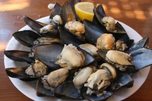 The historic Samatya shellfish