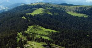 The nature walk of Ilgaz