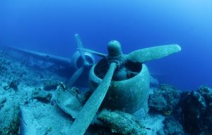 Dive to the basement