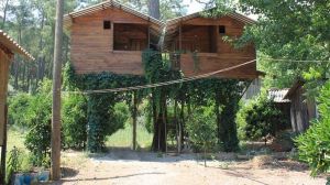 The Olympos Pine Boarding House
