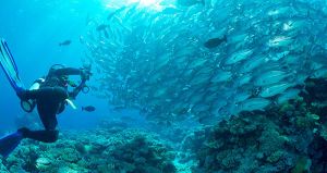Diving into the fountain