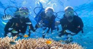 Tüplü Dalış/scuba diving