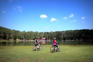 Dalaman Motor/ Bisiklet Turu