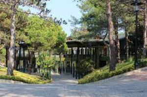 The pine coral pavilion restaurant