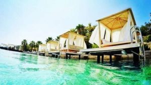 This is Pen Island Oliviera Resort