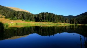 The Camp of the Garlic Steppe