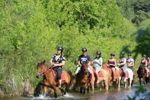 Safari on horseback to the conquest