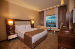 The Mitannia Regency Hotel