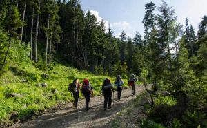 Muğla Doğa Yürüyüşü