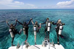 Tube diving to the conquest