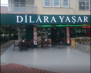 Dilara Yaşar Tatlı/Dondurma