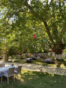 This is Supüroğlu Restaurant