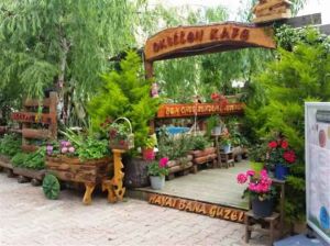 Ala Konukevi Otel & Oksijen Cafe