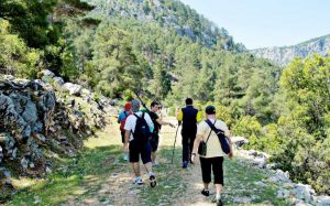 Trekking