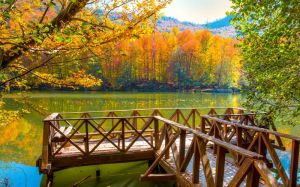 This is Yedigöller National Park