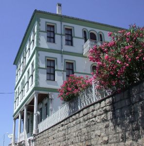 The Museum of the Desert