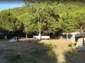 Çamlıkaltı Piknik ve Kamp Alanı 1. Fotoğraf