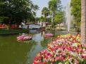 Chiang Mai Çiçek Festivali 2. Fotoğraf