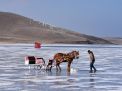 Cildir Lake 1. Fotoğraf