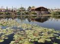 Hılla Gölü /Nilüfer Park 4. Fotoğraf