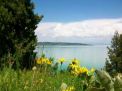 Akşehir Gölü 3. Fotoğraf