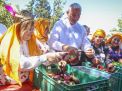 Gaziantep Kültür Yolu Festivali 2024 2. Fotoğraf