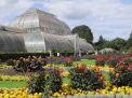 Royal Botanical Garden Kew 11. Fotoğraf