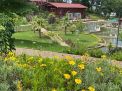 Trabzon Botanik Parkı 6. Fotoğraf